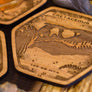 Dinosaur Fossil Coasters